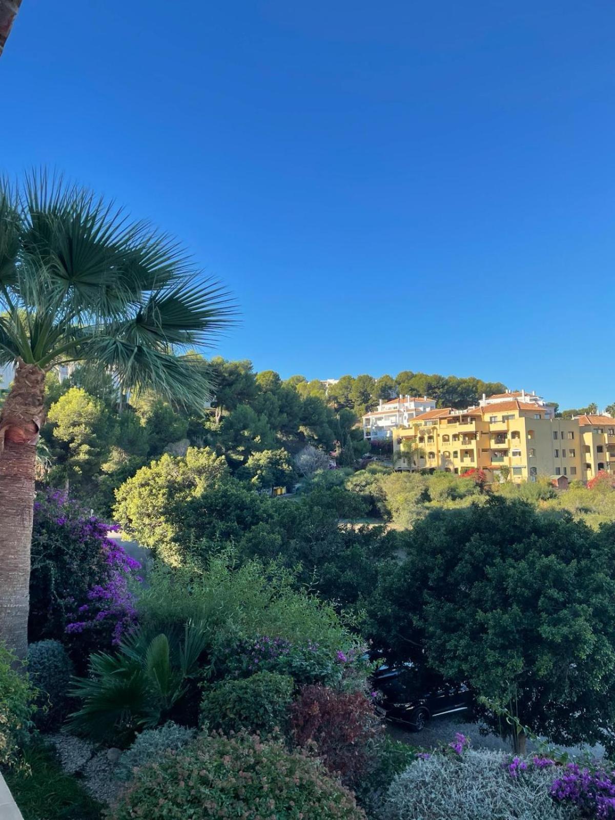 2 Bed Ground Floor With Pool & Parking